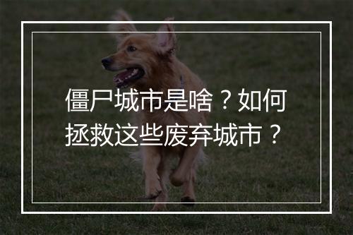 僵尸城市是啥？如何拯救这些废弃城市？