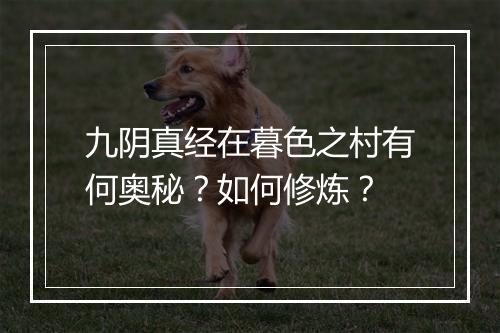 九阴真经在暮色之村有何奥秘？如何修炼？