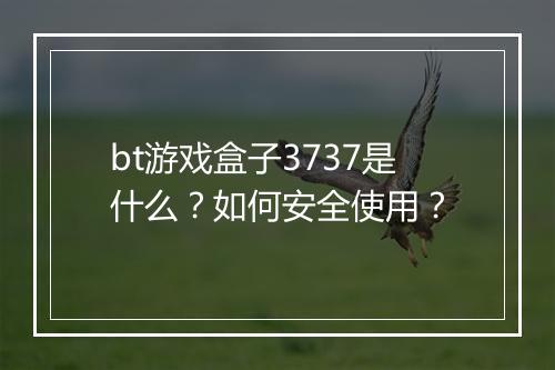 bt游戏盒子3737是什么？如何安全使用？