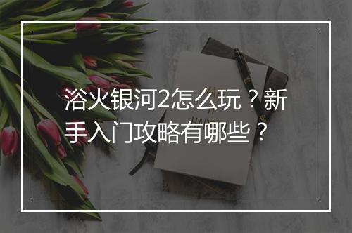 浴火银河2怎么玩？新手入门攻略有哪些？