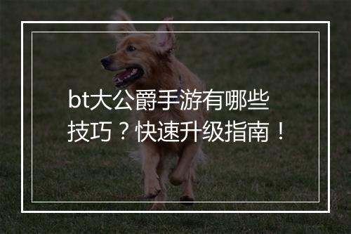 bt大公爵手游有哪些技巧？快速升级指南！
