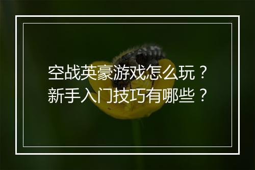 空战英豪游戏怎么玩？新手入门技巧有哪些？