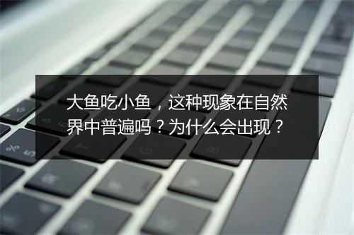 大鱼吃小鱼，这种现象在自然界中普遍吗？为什么会出现？