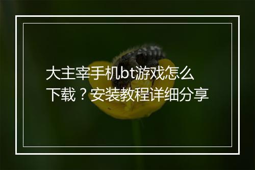 大主宰手机bt游戏怎么下载？安装教程详细分享
