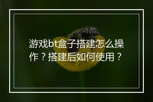 游戏bt盒子搭建怎么操作?搭建后如何使用?