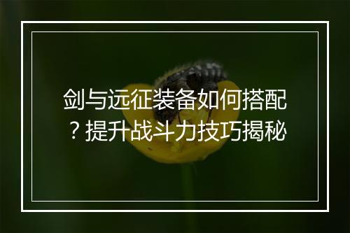 剑与远征装备如何搭配？提升战斗力技巧揭秘