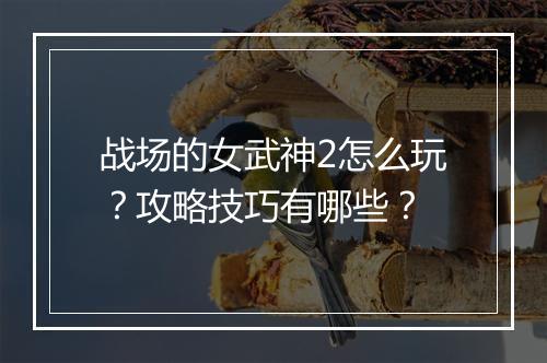 战场的女武神2怎么玩?攻略技巧有哪些?