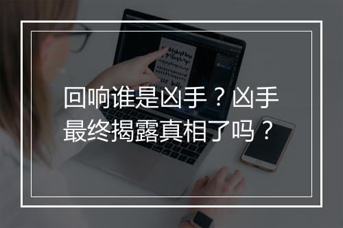 回响谁是凶手？凶手最终揭露真相了吗？