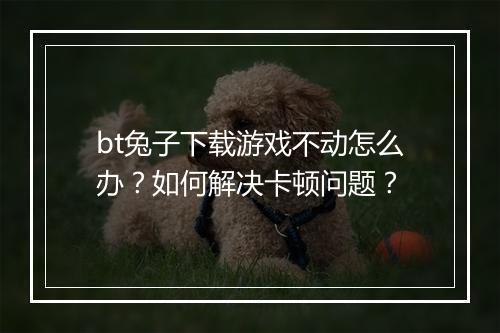 bt兔子下载游戏不动怎么办？如何解决卡顿问题？