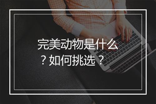 完美动物是什么?如何挑选?