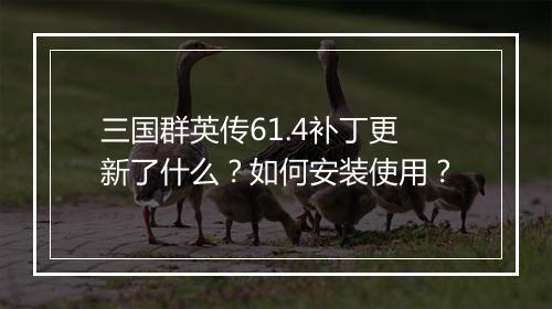 三国群英传61.4补丁更新了什么？如何安装使用？