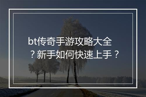 bt传奇手游攻略大全？新手如何快速上手？