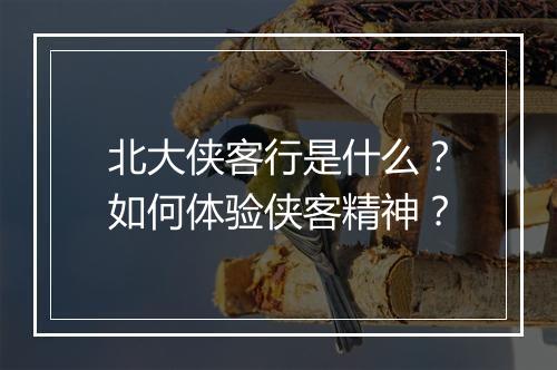 北大侠客行是什么?如何体验侠客精神?
