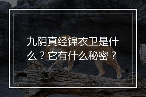九阴真经锦衣卫是什么？它有什么秘密？