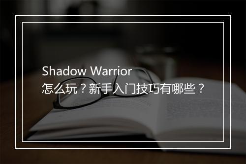 Shadow Warrior怎么玩?新手入门技巧有哪些?