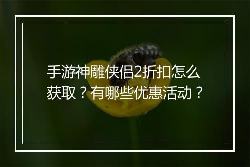 手游神雕侠侣2折扣怎么获取？有哪些优惠活动？