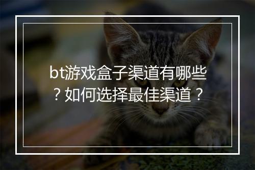 bt游戏盒子渠道有哪些?如何选择最佳渠道?
