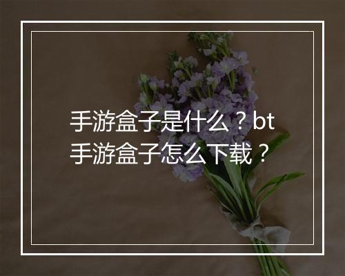 手游盒子是什么？bt手游盒子怎么下载？