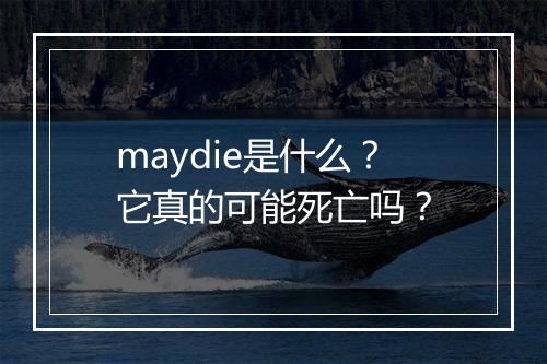maydie是什么？它真的可能死亡吗？