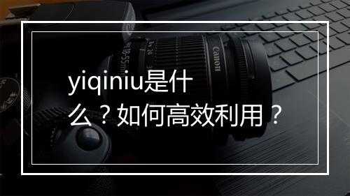 yiqiniu是什么？如何高效利用？