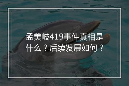 孟美岐419事件真相是什么？后续发展如何？