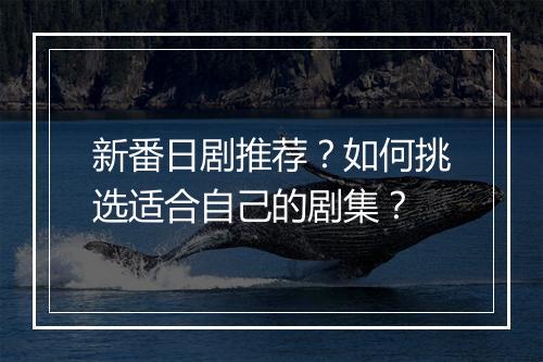 新番日剧推荐?如何挑选适合自己的剧集?