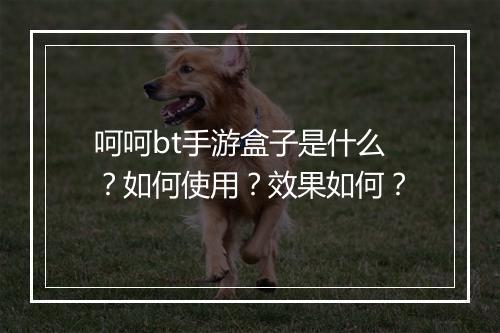 呵呵bt手游盒子是什么？如何使用？效果如何？