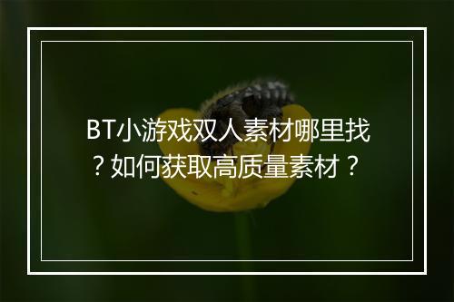 BT小游戏双人素材哪里找？如何获取高质量素材？