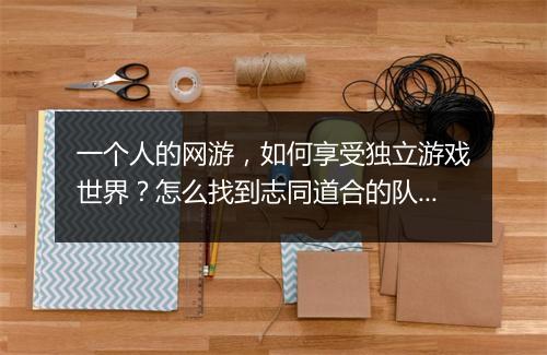 一个人的网游，如何享受独立游戏世界？怎么找到志同道合的队友？