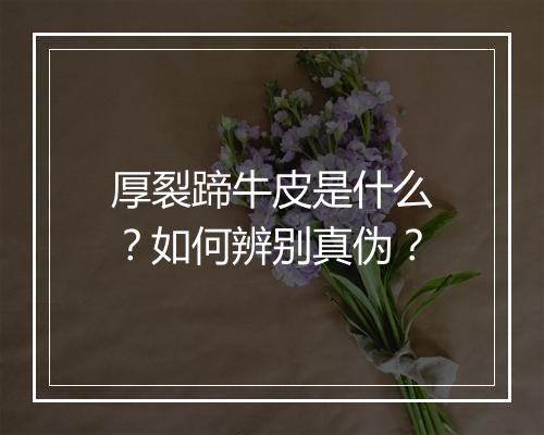 厚裂蹄牛皮是什么？如何辨别真伪？