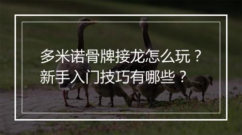 多米诺骨牌接龙怎么玩？新手入门技巧有哪些？