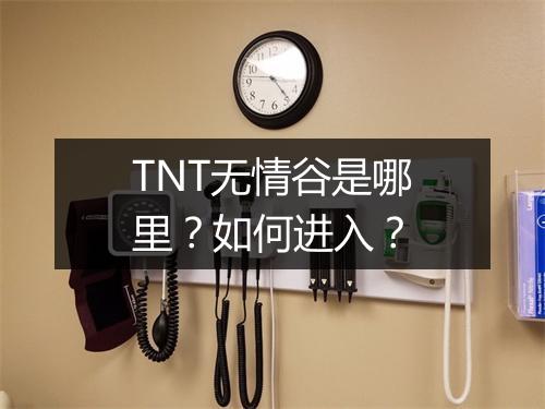 TNT无情谷是哪里？如何进入？