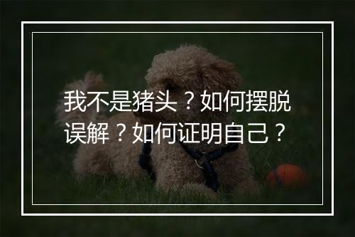 我不是猪头？如何摆脱误解？如何证明自己？