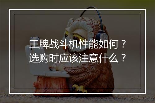 王牌战斗机性能如何?选购时应该注意什么?