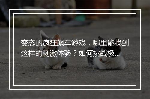变态的疯狂飙车游戏，哪里能找到这样的刺激体验？如何挑战极限？