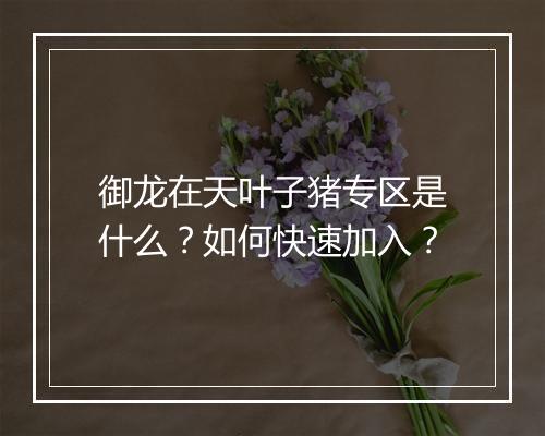 御龙在天叶子猪专区是什么？如何快速加入？