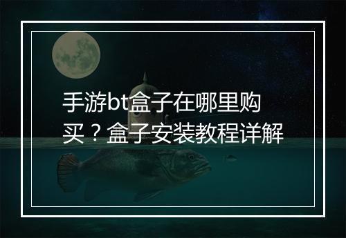 手游bt盒子在哪里购买?盒子安装教程详解