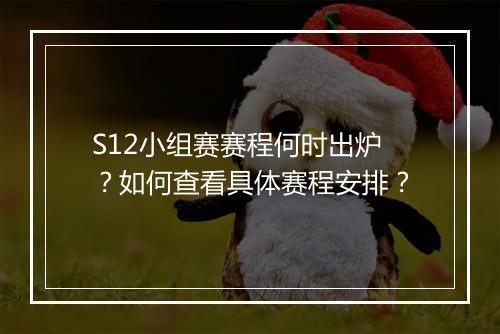 S12小组赛赛程何时出炉?如何查看具体赛程安排?