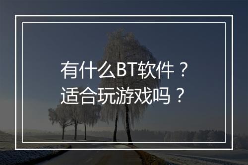 有什么BT软件？适合玩游戏吗？