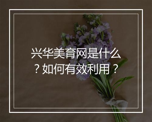 兴华美育网是什么？如何有效利用？