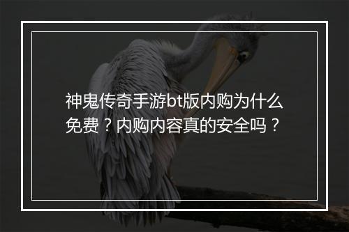神鬼传奇手游bt版内购为什么免费?内购内容真的安全吗?