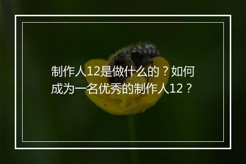 制作人12是做什么的？如何成为一名优秀的制作人12？