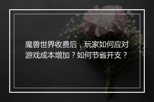 魔兽世界收费后，玩家如何应对游戏成本增加？如何节省开支？