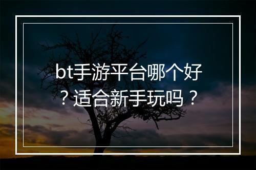 bt手游平台哪个好？适合新手玩吗？