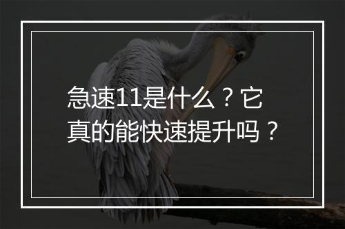 急速11是什么?它真的能快速提升吗?