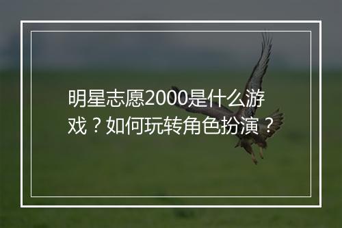 明星志愿2000是什么游戏?如何玩转角色扮演?
