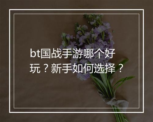 bt国战手游哪个好玩？新手如何选择？