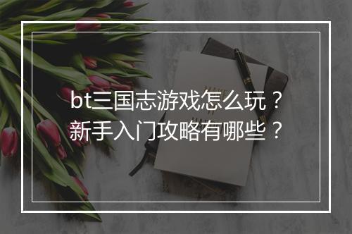 bt三国志游戏怎么玩？新手入门攻略有哪些？