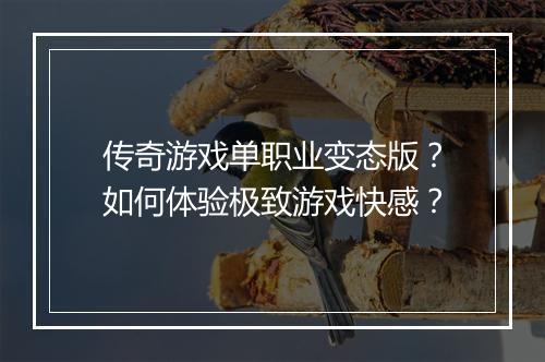 传奇游戏单职业变态版？如何体验极致游戏快感？