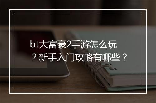 bt大富豪2手游怎么玩？新手入门攻略有哪些？